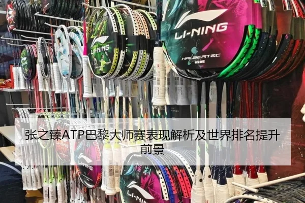 张之臻ATP巴黎大师赛表现解析及世界排名提升前景